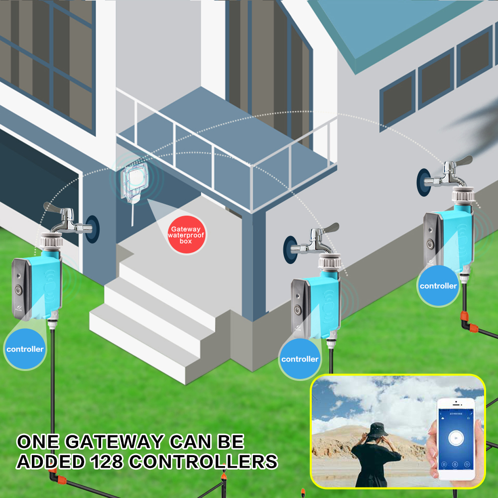Intelligent Smartphone Wifi BT - огляд і ціна Wifi Irrigation Timer