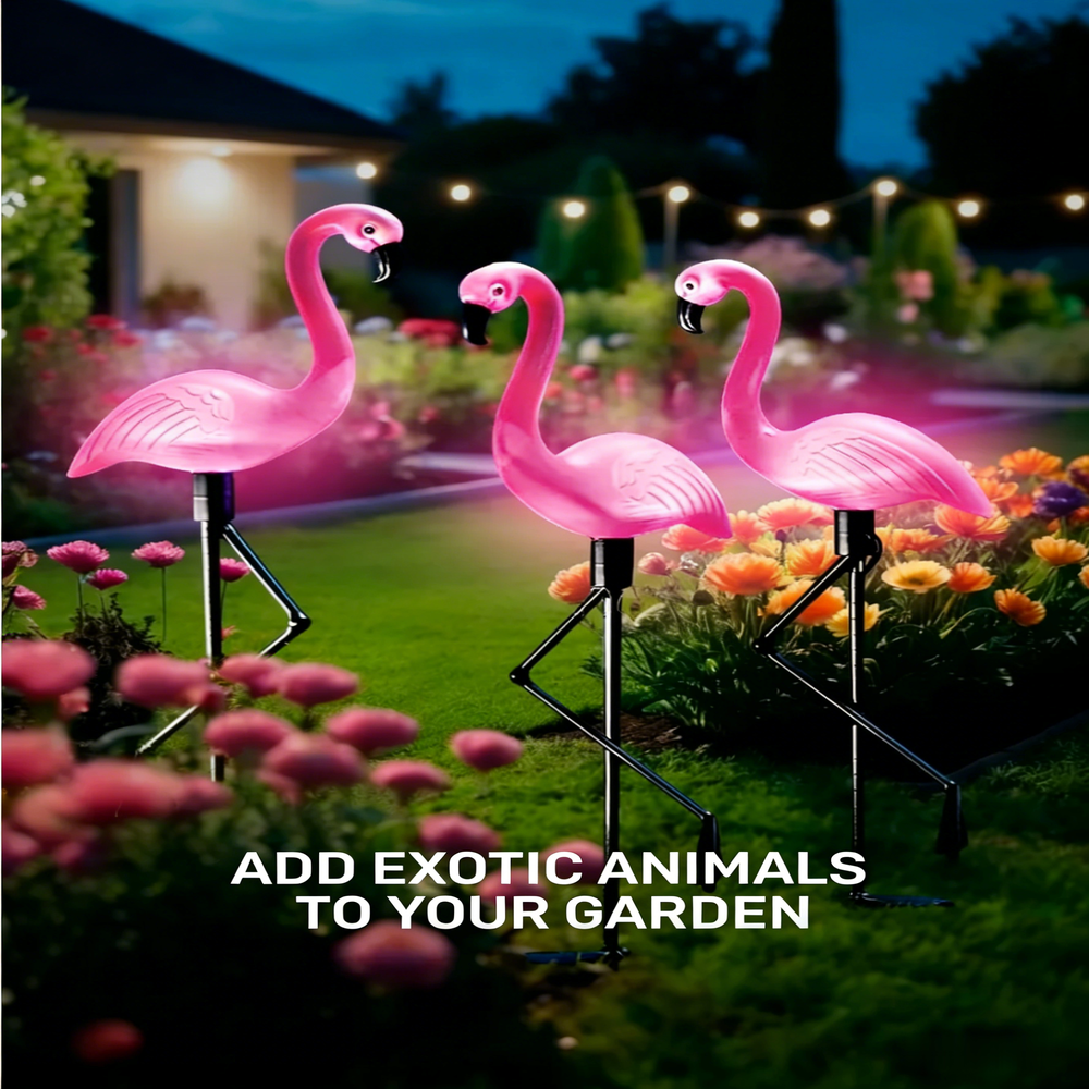 3Pcs Solar Powered Flamingo Gr - огляд і ціна Smart Garden Solar