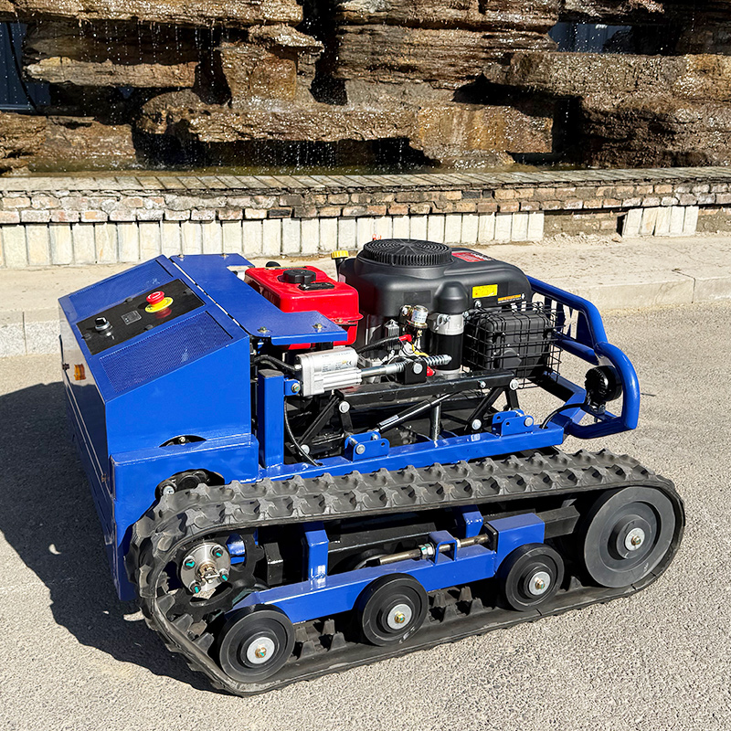 Customized High Quality Remote - огляд і ціна Smart Garden Robot