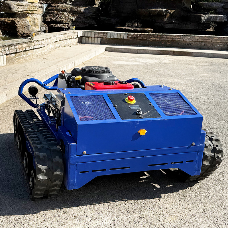 Customized High Quality Remote - огляд і ціна Smart Garden Robot