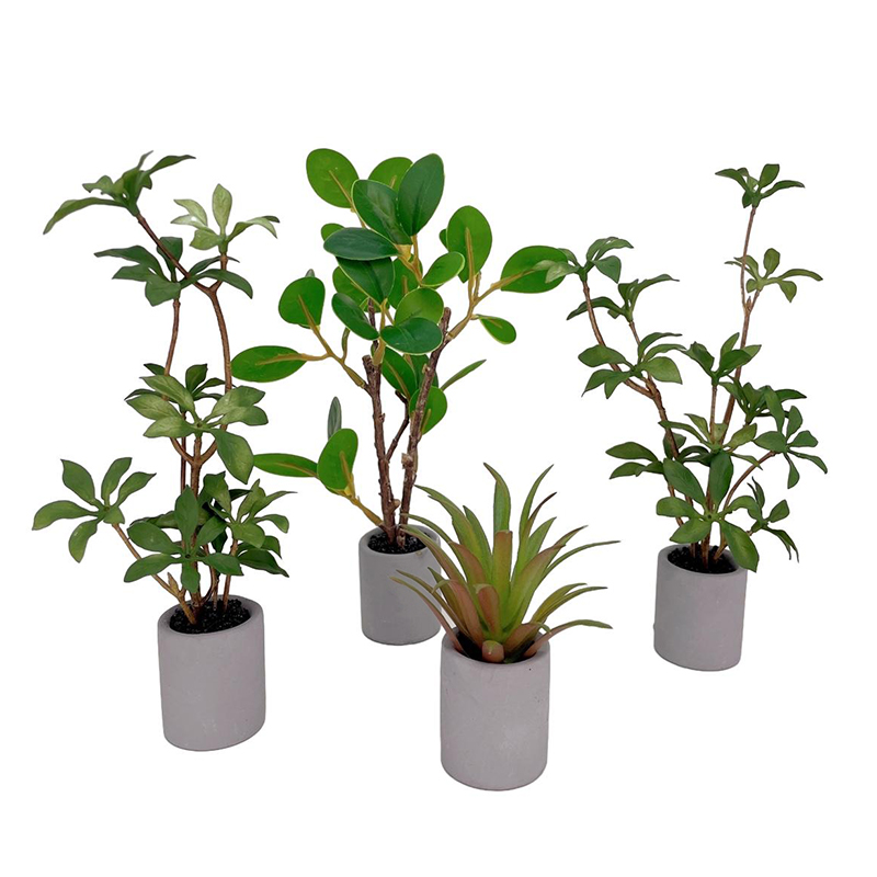 1:6 Dollhouse Miniature Potted - огляд і ціна Smart Garden Mini