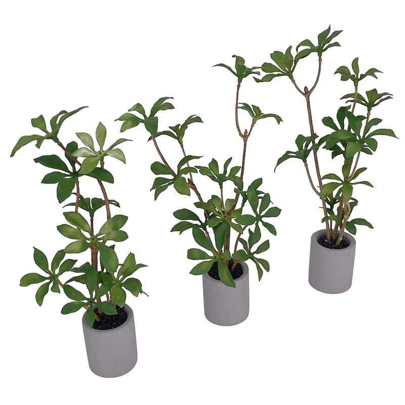 1:6 Dollhouse Miniature Potted - огляд і ціна Smart Garden Mini