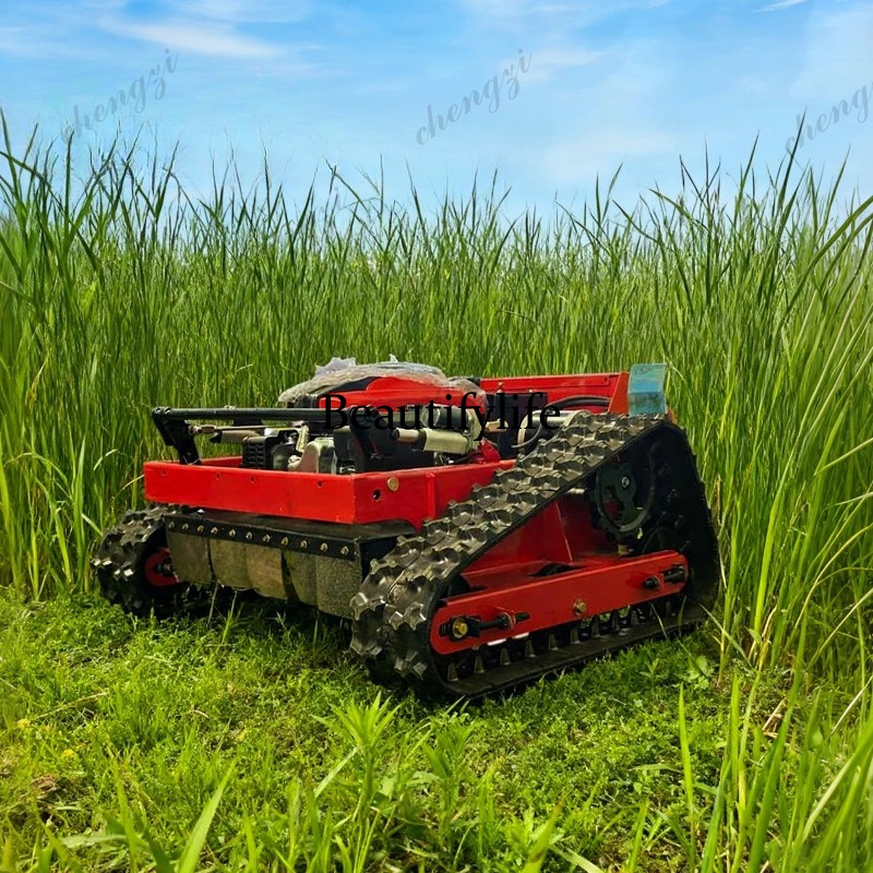 Customized High-Quality Remote - огляд і ціна Smart Garden Robot