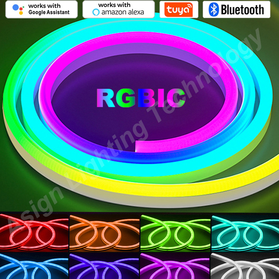 RGBIC LED Neon Strip 12V 96LED - огляд і ціна Smart Garden Led Lights