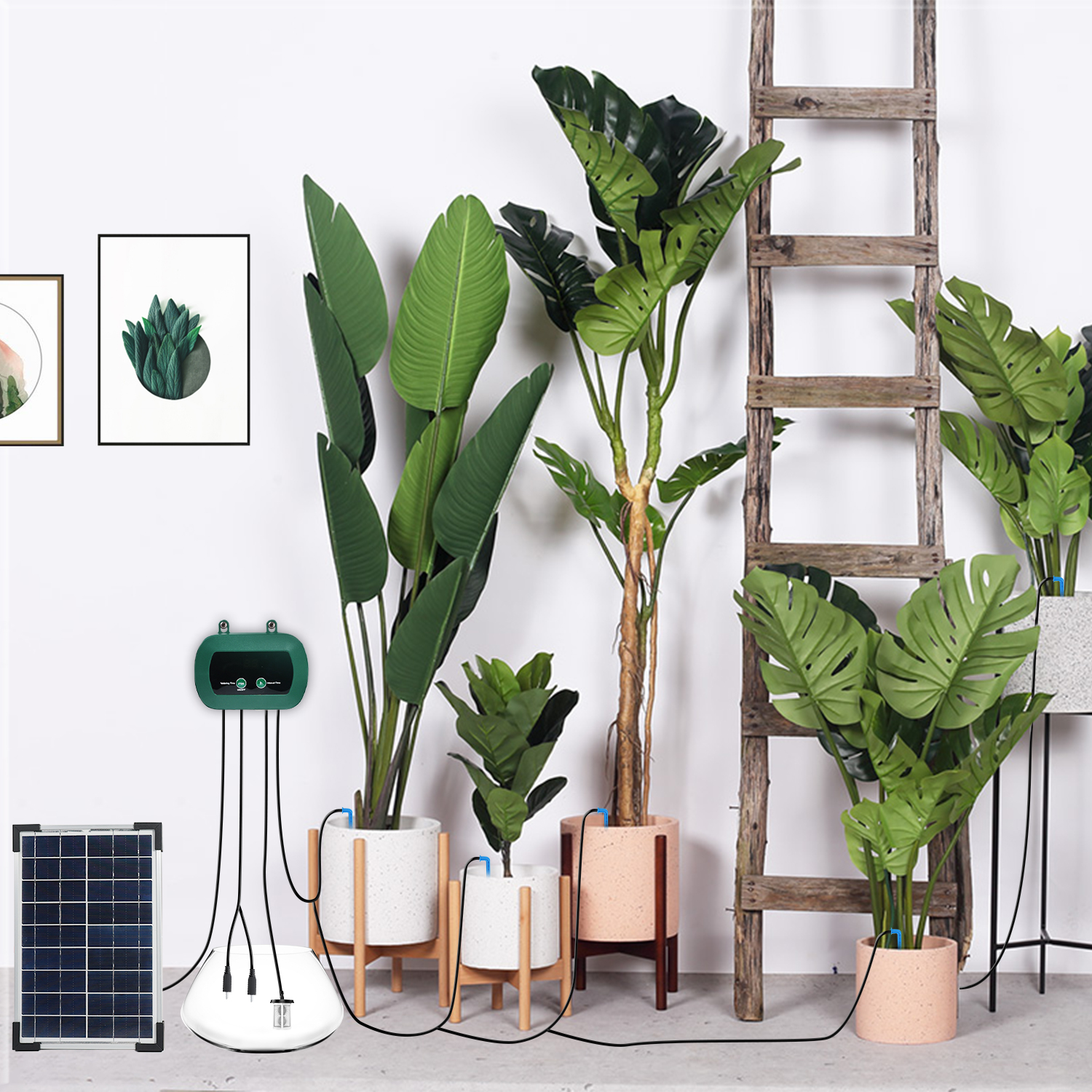 Solar Hydroponics Equipment  M - огляд і ціна Smart Garden Solar