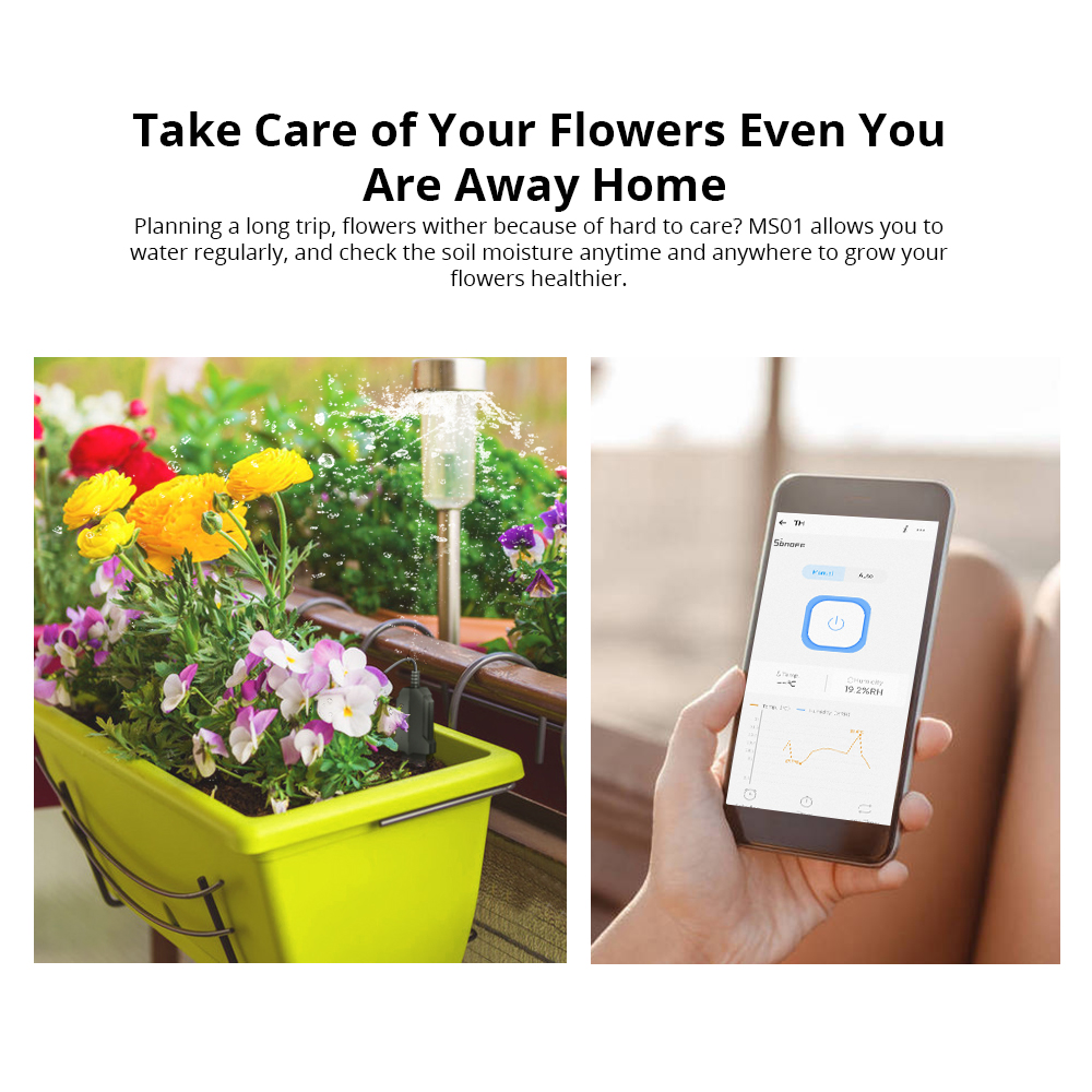 SONOFF MS01 Soil Moisture Sens - огляд і ціна Smart Garden Test