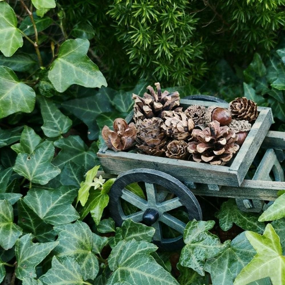 High Quality 1:12 Scale Dollho - огляд і ціна Smart Garden Mini