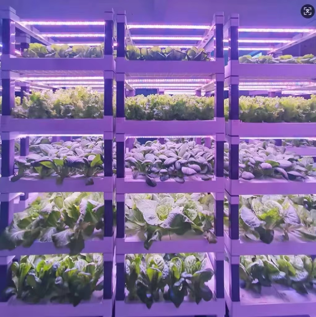 Hydroponic Grow System Greenho - огляд і ціна Smart Garden In Home